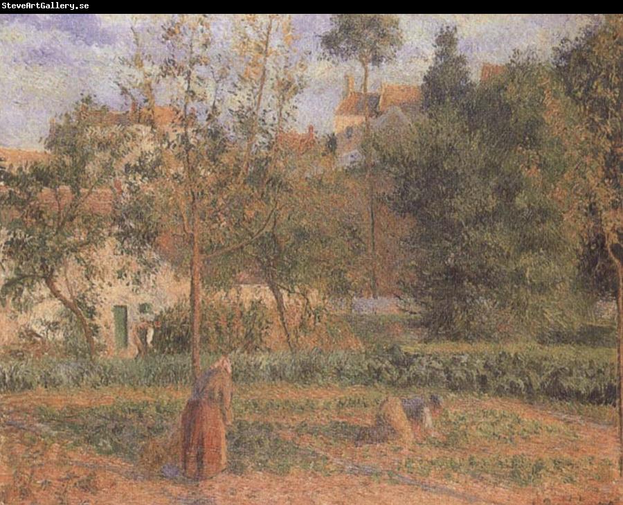 Camille Pissarro Vegetable Garden at the Hermitage near Pontoise